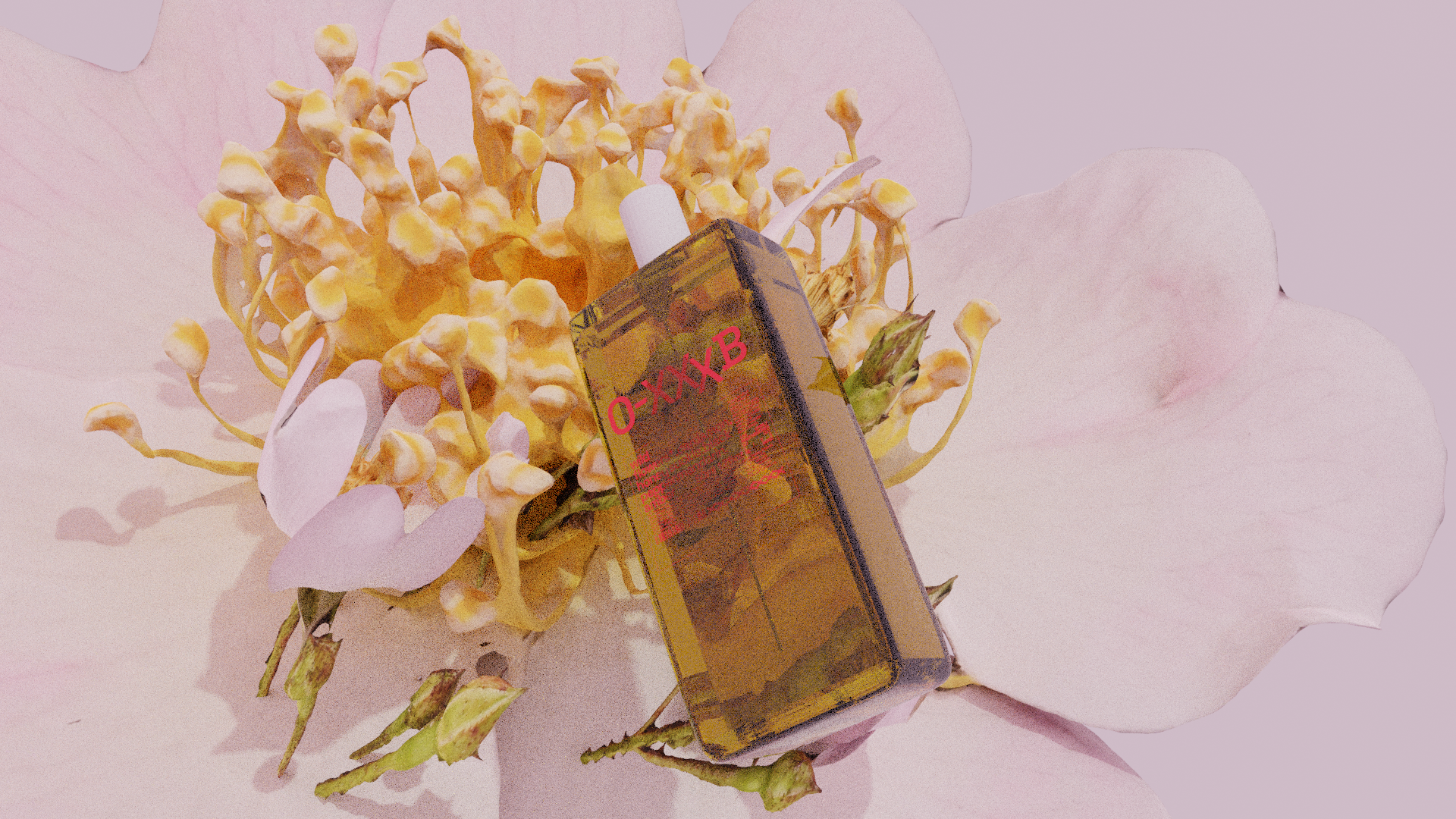 0-XXXB Fragrance — Wild Poppy Art & Design